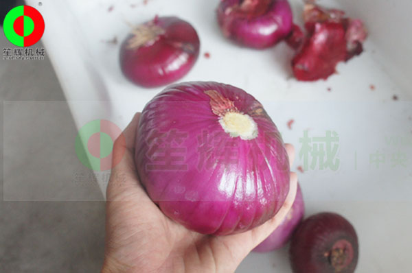洋蔥脫皮機