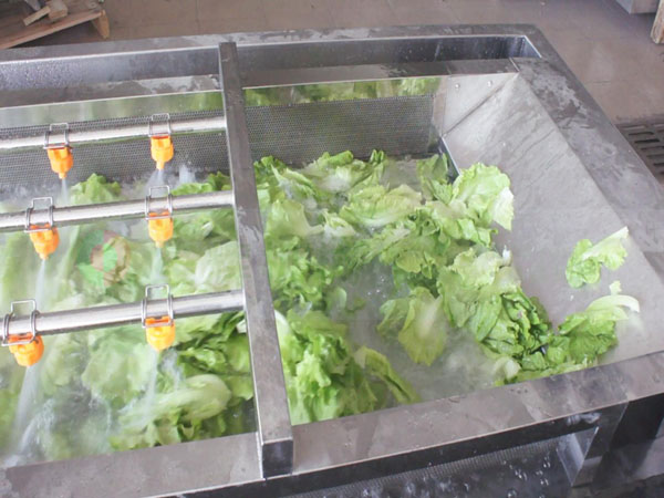 全網鏈洗菜機