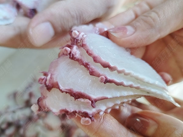斜切魚片機